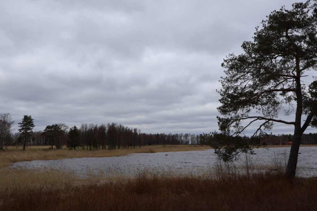 The Grave Field on Hammars&nbsp;Udde