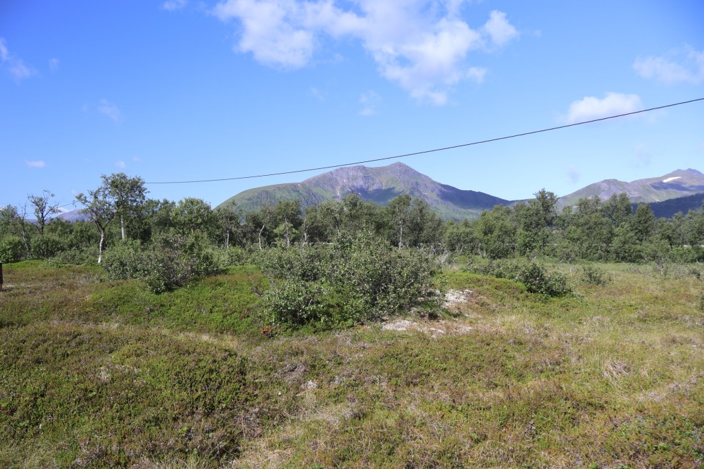 The chieftains warrior division at&nbsp;Åse